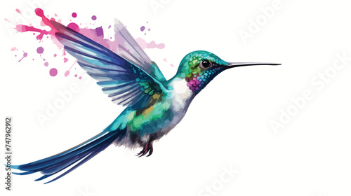 Hummingbird watercolor illustration spots  © Vector