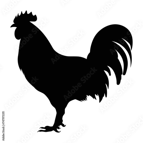 Chicken silhouette. Hen silhouette isolated vector Illustration