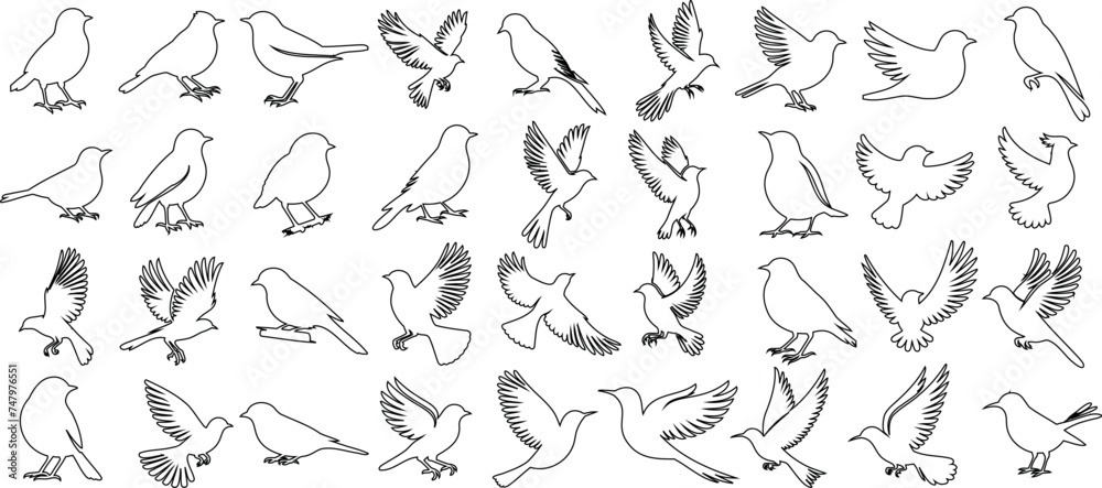 Bird sketch collection, flying, perching poses of birds. Ideal for logos, illustrations, creative projects. Black and white vector graphic design. Wildlife, nature themed artwork