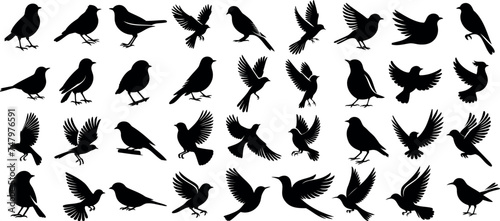 bird silhouette vector illustration, perfect for logo design, art projects, and graphic design. Diverse positions, flying, perching photo