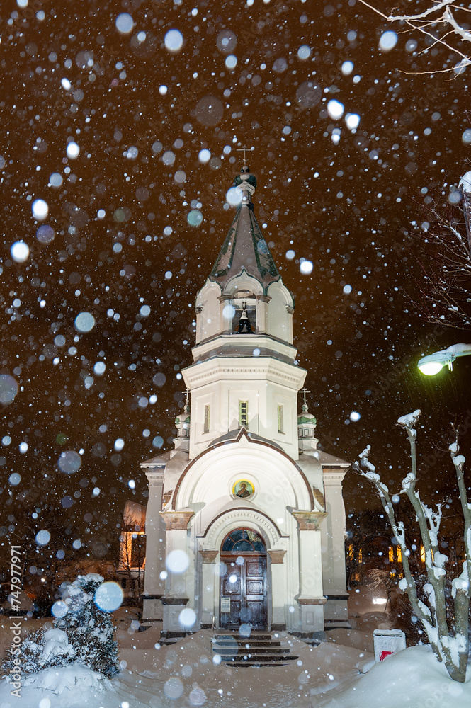 Obraz premium 雪の函館