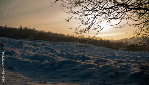 Snow-covered field at sunrise with trees in the background
