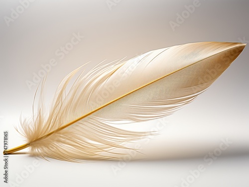 Vintage Quill Feather
