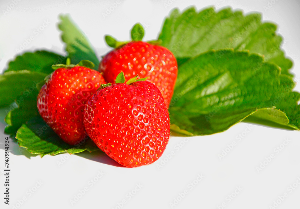 świeże dojrzałe truskawki na zielonych liściach, białe tło, miejsce na tekst, fresh ripe strawberries on green leaves, white background, space for text