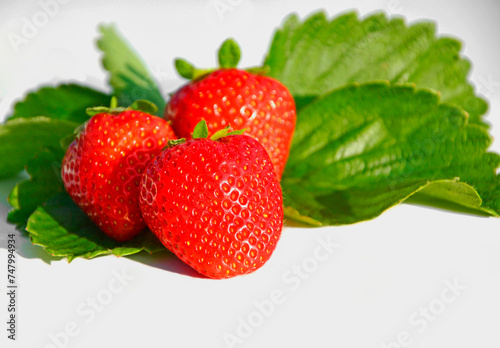 Obraz na płótnie świeże dojrzałe truskawki na zielonych liściach, białe tło, miejsce na tekst, fresh ripe strawberries on green leaves, white background, space for text
w salonie