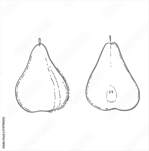 vector illustration with pear. print for fabric with fruits, pattern for paper with fruits