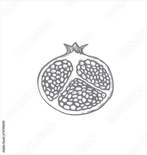 vector illustration with pomegranate. print for fabric with fruits, pattern for paper with fruits