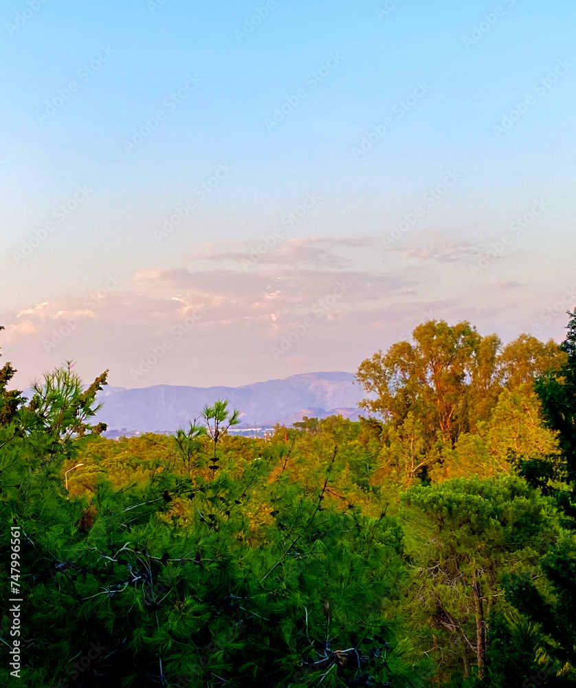 Morning enchanting landscape in pastel colors