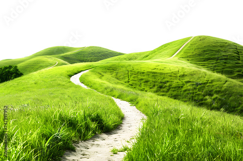 Trail among the green hills isolated on white or transparent background 
