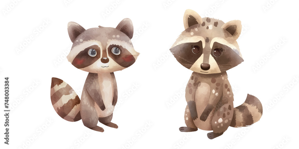 Fototapeta premium cute raccoon watercolour vector illustration