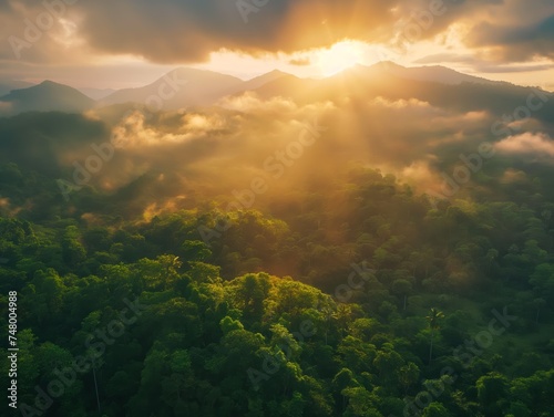 Aerial view, Beautiful rainforest at sunset