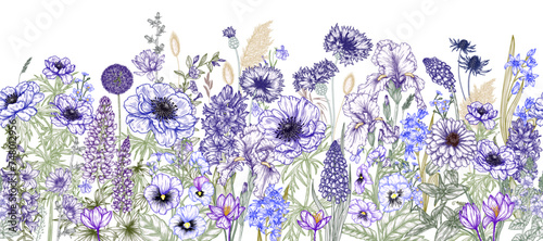 Seamless vector pattern blue flowers. Irises, cornflowers, bluebells, pansies, anemones, lupine, chicory, hiancinth, crocuses, speedwell, periwinkle, muscari, scilla, eryngium, allium