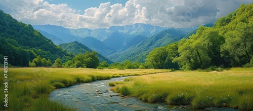 A painting depicting the Gega river winding its way through a vibrant green valley with the backdrop of the Gagra ridge in Abkhazia during the summer season. The lush vegetation and clear water create