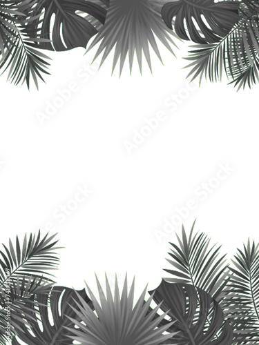 Tropical palm leaf silhouette vector illustration. Black and white tropic foliage vertical border frame. Amazon rainforest plants on a transparent background for beauty and fashion posters, mockups
