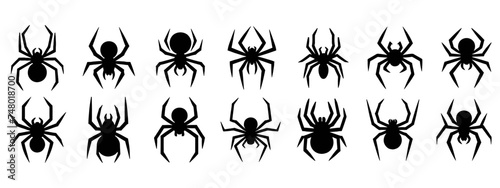 Set of black silhouette spider icon isolated on white background. Top,side and front view