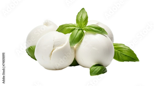 Tasty Mozzarella Balls and Basil Leaves Isolated On Transparent Background Or PNG Background.