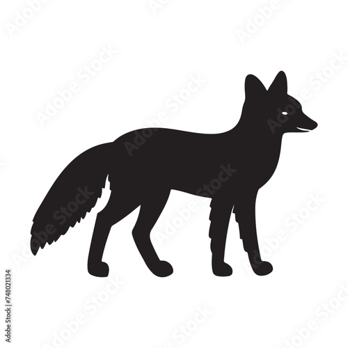 fox silhouette © RHasan