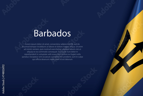 Barbados national flag isolated on background with copyspace