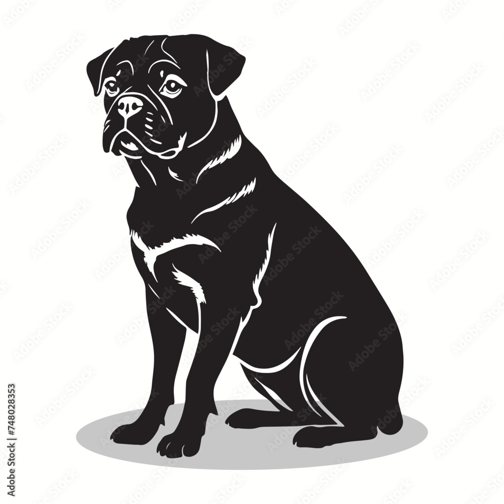 Pug silhouettes and icons. Black flat color simple elegant Pug animal vector and illustration with white background.