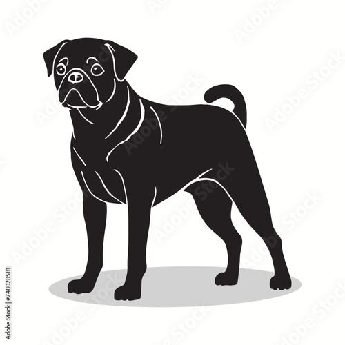 Pug silhouettes and icons. Black flat color simple elegant Pug animal vector and illustration with white background.