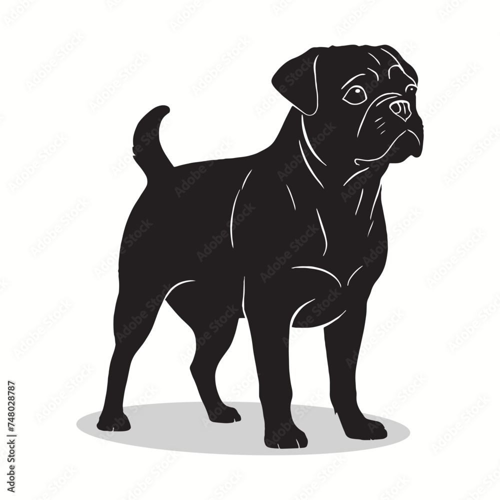 Obraz premium Pug silhouettes and icons. Black flat color simple elegant Pug animal vector and illustration with white background.