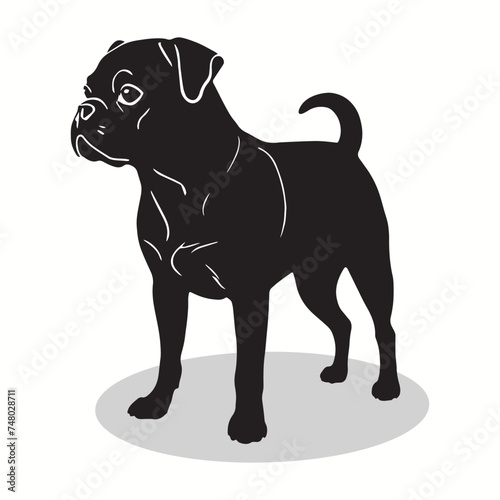 Pug silhouettes and icons. Black flat color simple elegant Pug animal vector and illustration with white background.