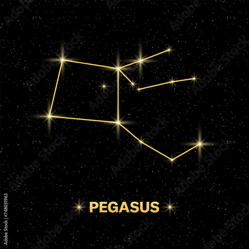 Pegasus constellation icon. Starry sky. Flat style. Vector illustration