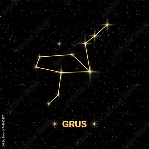 Grus constellation icon. Starry sky. Flat style. Vector illustration