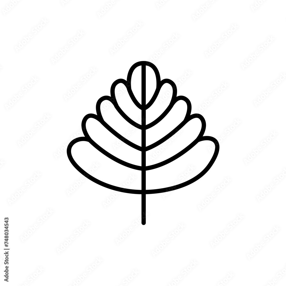 Leaves outline icons, minimalist vector illustration ,simple transparent graphic element .Isolated on white background
