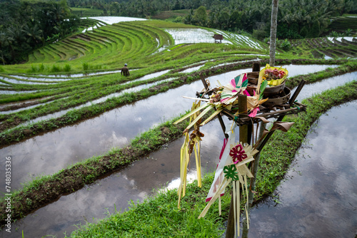 Subak is a traditional Balinese irrigation system based on mutual justice. This system regulates the distribution of water fairly. Terraced rice field in countryside of Bali