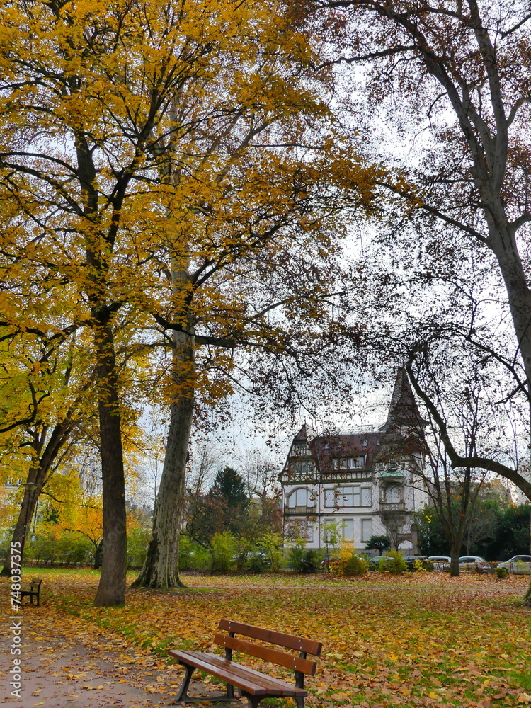 Paysage d'automne à Strasbourg