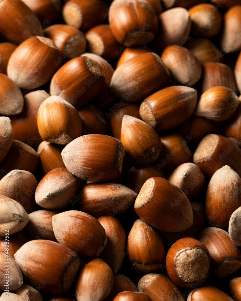 Raw hazelnuts in shells, agricultural harvest, protein food ingredients
Raw hazelnuts in shells, agricultural harvest, protein food ingredients