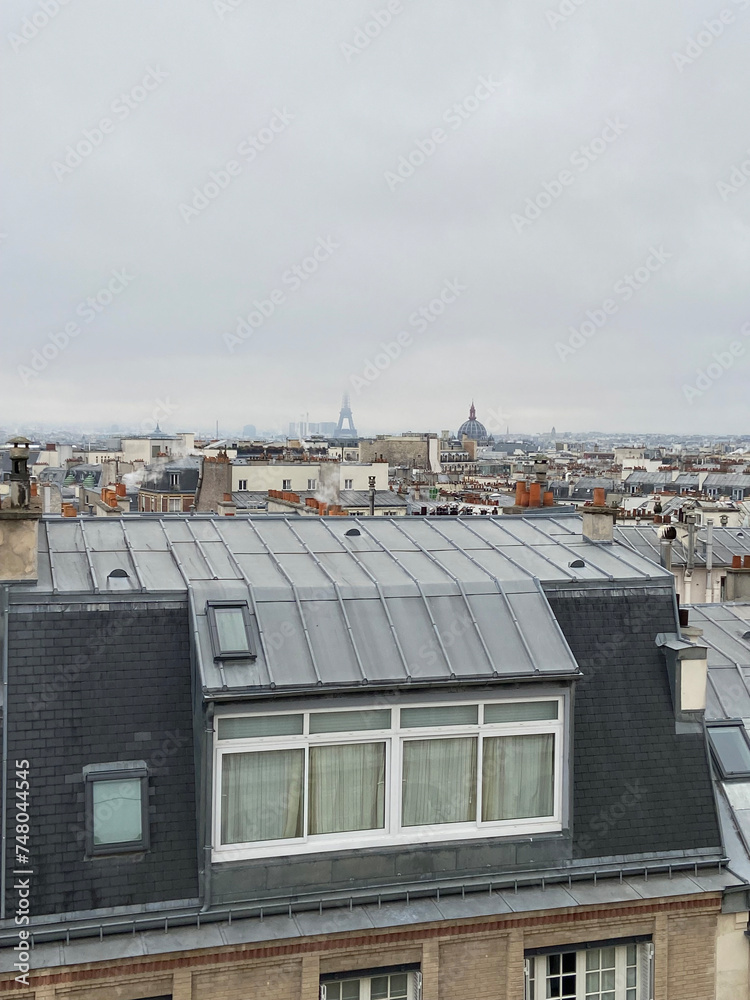 Paysage urbain vue d'un toit à Paris
