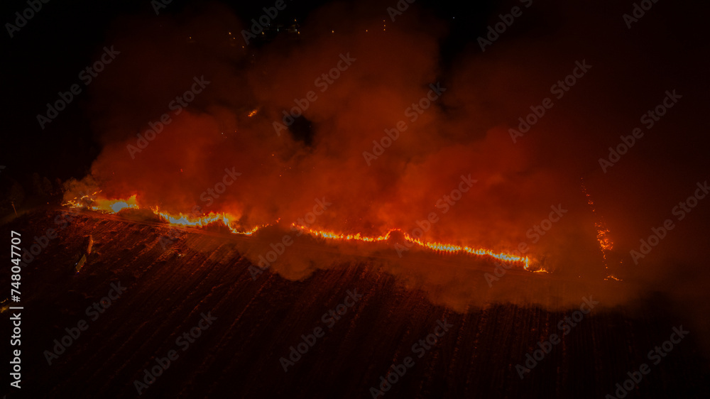 Forest fire burning at night