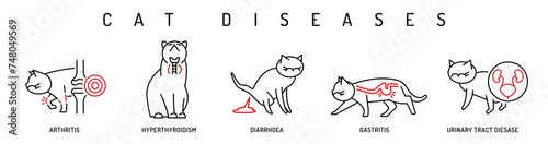 Cat health conditions icons. Arthritis, gastritis, urinary tract disease in cats.