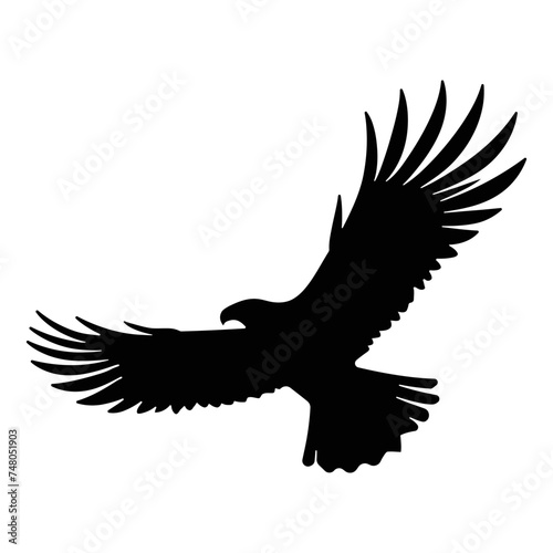 Eagle silhouette Bald Eagle silhouette isolated vector illustration