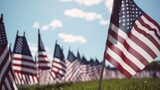 Field of American flags displayed on the honor of Veterans Day or Memorial Day celebration