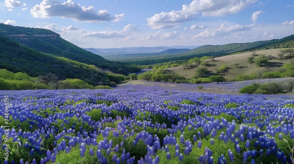 Vibrant Bluebonnet Field in Spring, Rolling Hills and Lush Greenery in the Background - Ideal for articles on nature, springtime, or travel guides to Texas.