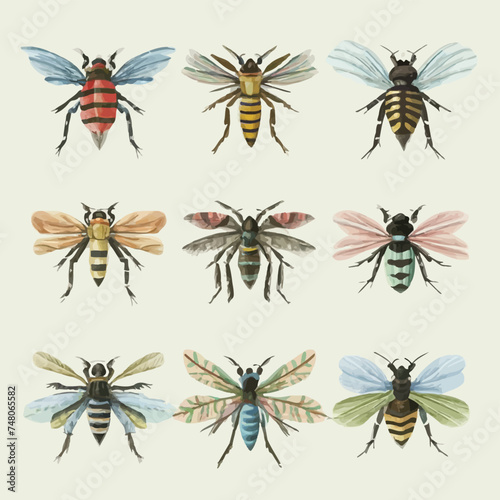 Discover the World of Flight: Diverse Collection of Fly Illustrations. Perfect for Adding Movement and Beauty to Your Designs.   © Hogr