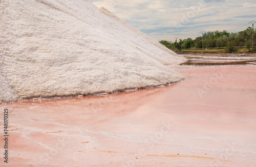 Obraz na płótnie Salins d’Aigues-Mortes, Camargue, France. Europe's largest salt marshes Salin-de-Giraud, sea salt production. Pink salt marshes. w salonie