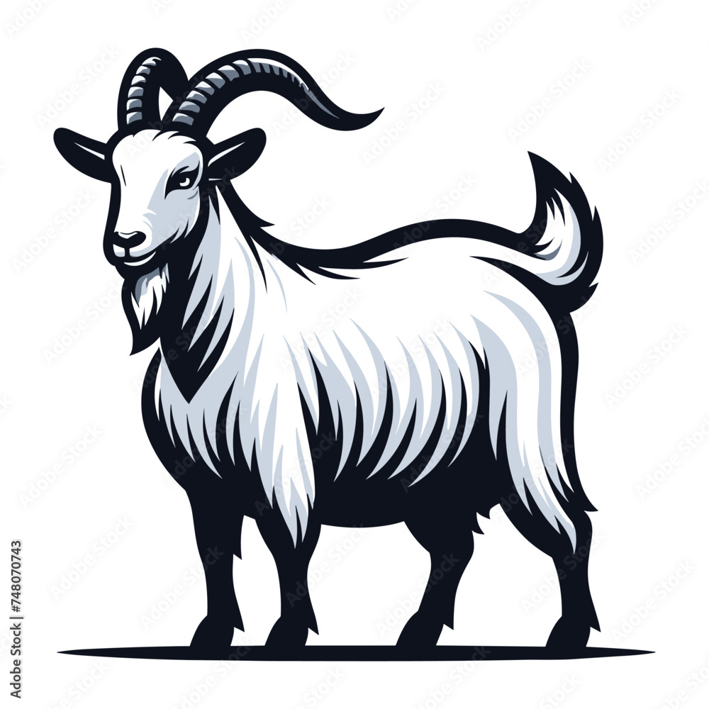 Goat full body vector illustration, farm pet, animal livestock, for butchery meat shop and dairy milk product, design template isolated on white background