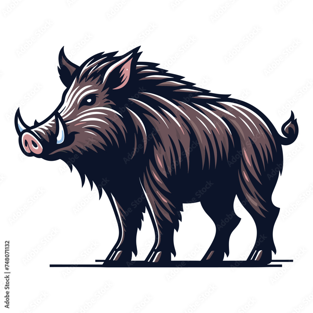 Wild hog boar pig full body design vector illustration, beast animal wildlife template isolated on white background Wild hog boar pig full body design vector illustration, beast animal wildlife template isolated on white background