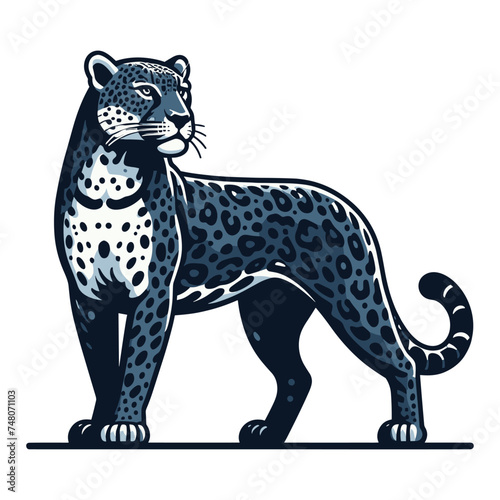 Wild jaguar leopard full body vector illustration, zoology illustration, animal predator big cat design template isolated on white background