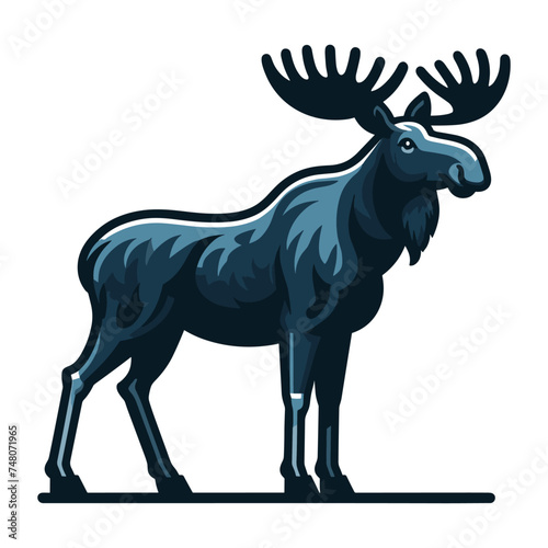 Moose buck elk full body vector illustration  zoology illustration  wild animal moose design template isolated on white background
