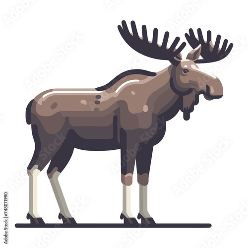 Moose buck elk full body vector illustration  zoology illustration  wild animal moose design template isolated on white background