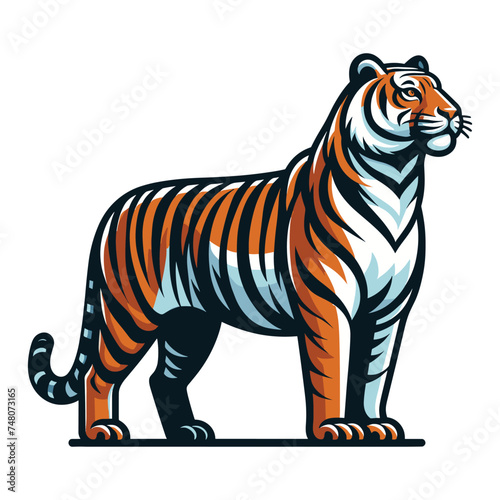 Wild tiger full body vector illustration, zoology illustration, animal predator big cat design template isolated on white background