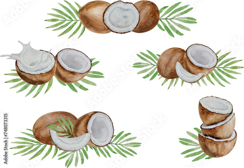 Vector watercolor coconut compositions. Different collages of coconuts, halves and parts, palm leaves, hand painted, white background, for design, banners, frame, cosmetics, postcard, invitation