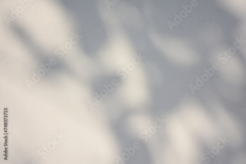 The shadow of the sun shining through the wood