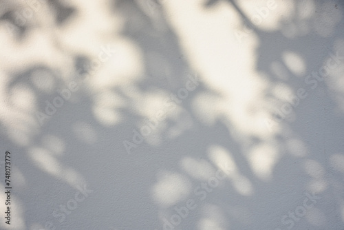 The shadow of the sun shining through the wood