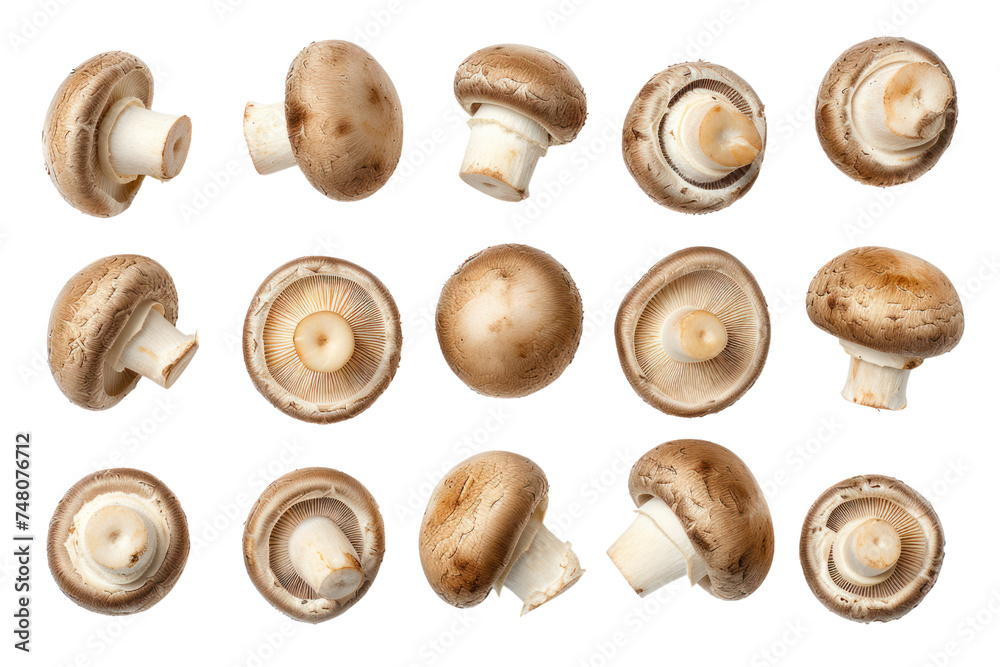 Top view. Collection of shiitake mushrooms isolated on transparent background.